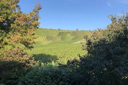 Wohnung zum Mieten in Weinstadt 1.840 € 136 m² 5 zimmer