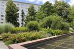 Gewerbeobjekt Chemnitz Zentrum - 8 Zimmer, 138 m&sup2;, 1.375&euro; | Angebot:26695881