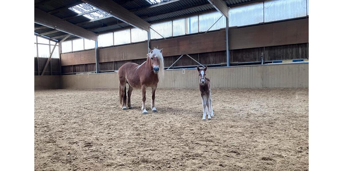 Etagenwohnung Weilburg - 3 Zimmer, 104 m&sup2;, 1.350&euro; | Angebot:25160842