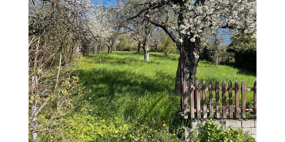 Helle Wohnung, ruhig gelegen mit Terrasse! 2 zimmer