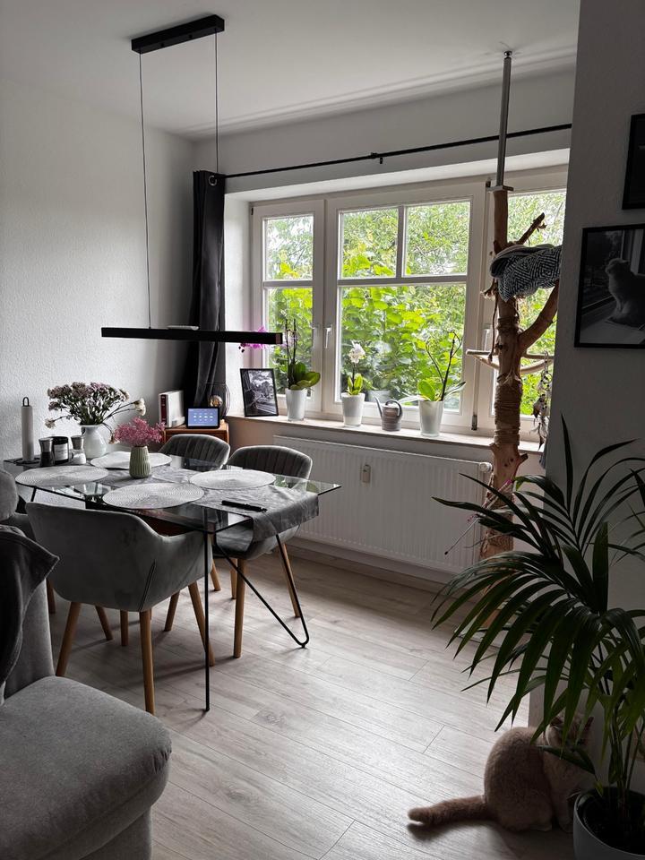 Frisch renovierte 3-Zimmer-Wohnung mit 18 m² Terrasse im Erdgesch