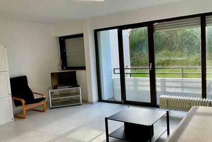 Wohnen auf Zeit Wiesbaden Biebrich - 3 Zimmer, 95 m&sup2;, 29&euro; | Angebot:24572958