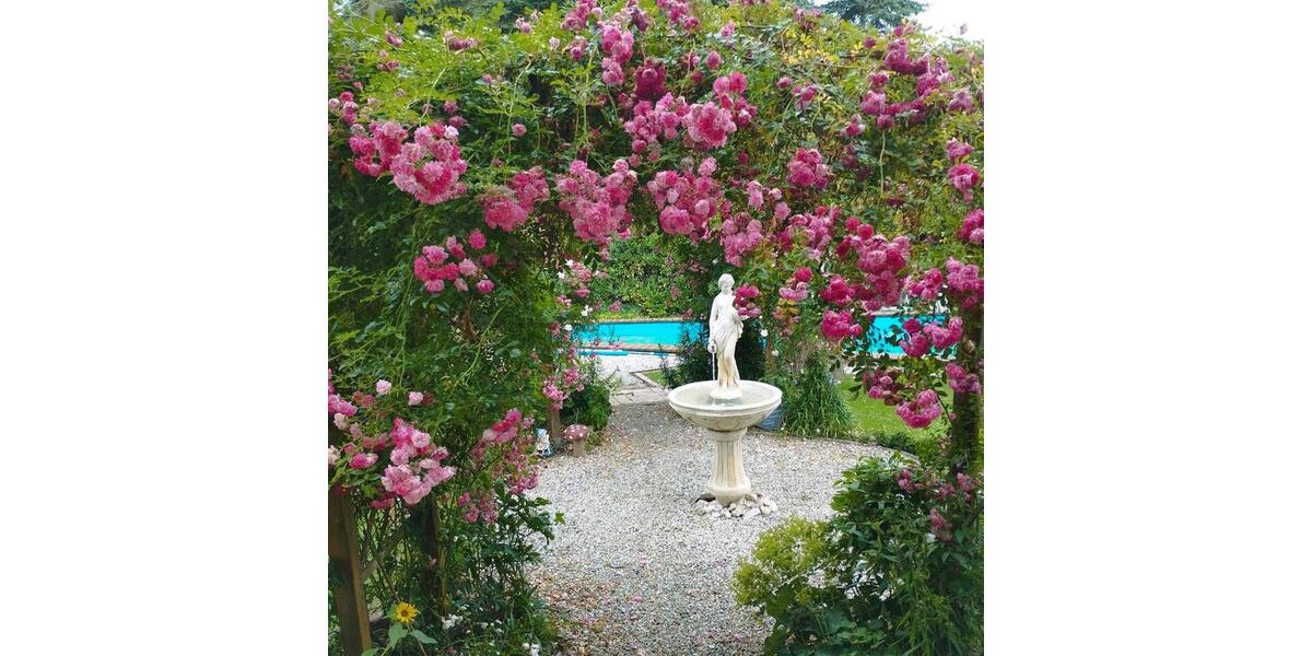 Etagenwohnung Thermalbad Wiesenbad - 1 Zimmer, 25 m&sup2;, 339&euro; | Angebot:25929795