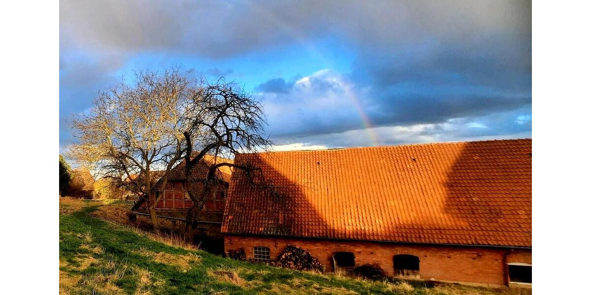 Erdgeschoßwohnung Springe - 4 Zimmer, 86 m&sup2;, 1.100&euro; | Angebot:25851897