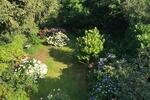 Dachgeschoßwohnung Bad Honnef - 2 Zimmer, 55 m&sup2;, 930&euro; | Angebot:26407196