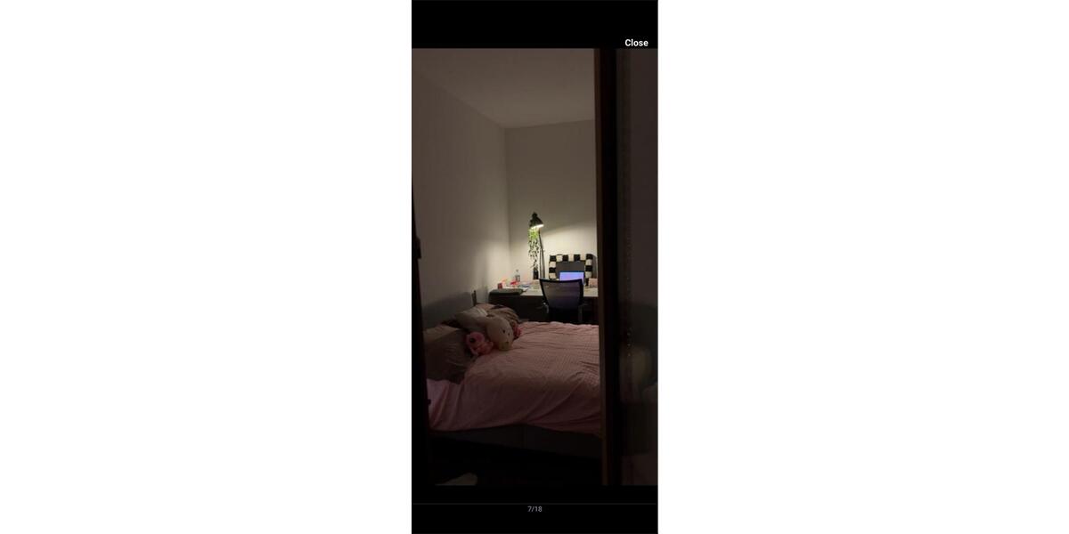 Wohnen auf Zeit Bonn Dransdorf - 2 Zimmer, 38 m&sup2;, 465&euro; | Angebot:26564590