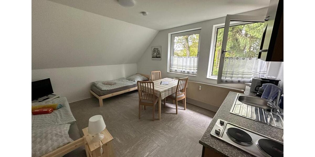 Etagenwohnung Siegen Eiserfeld - 1 Zimmer, 24 m&sup2;, 18&euro; | Angebot:24510651