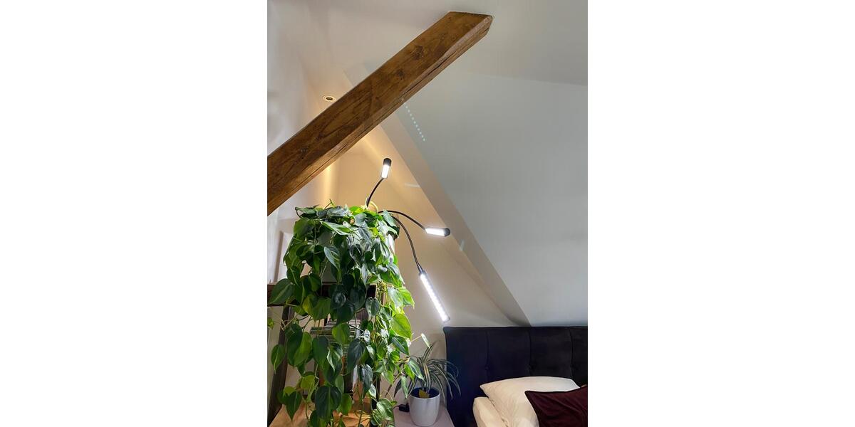 Dachgeschoßwohnung Herford - 2 Zimmer, 58 m&sup2;, 730&euro; | Angebot:24847836