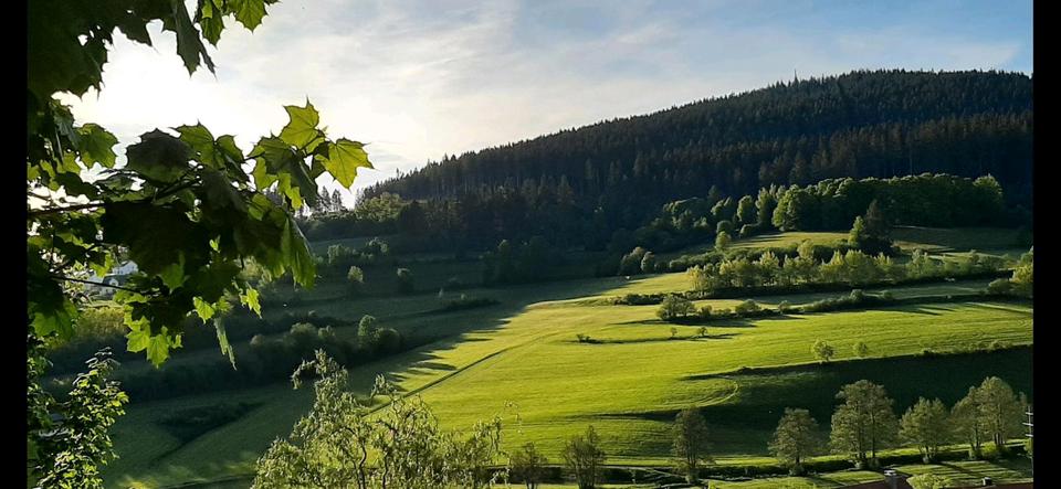 Möblierte-4Zimmer-Wohnung 4 zimmer