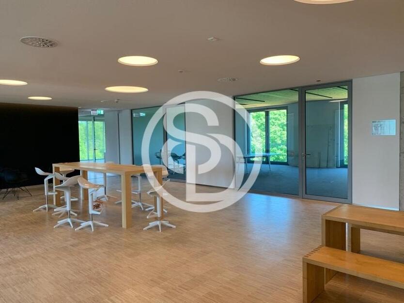 Moderne Bürofläche in NailaFrankenwald – ca. 108 m² mit 3 separaten Räumen (bis zu 12 Arbeitsplätze möglich) - professionelles, komfortables Arbeitsumfeld