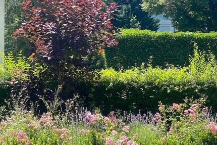 Wohnen auf Zeit Wiesbaden Bierstadt - 2 Zimmer, 44 m&sup2;, 200&euro; | Angebot:24789205