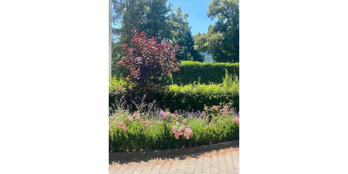 Wohnen auf Zeit Wiesbaden Bierstadt - 2 Zimmer, 44 m&sup2;, 200&euro; | Angebot:24789205