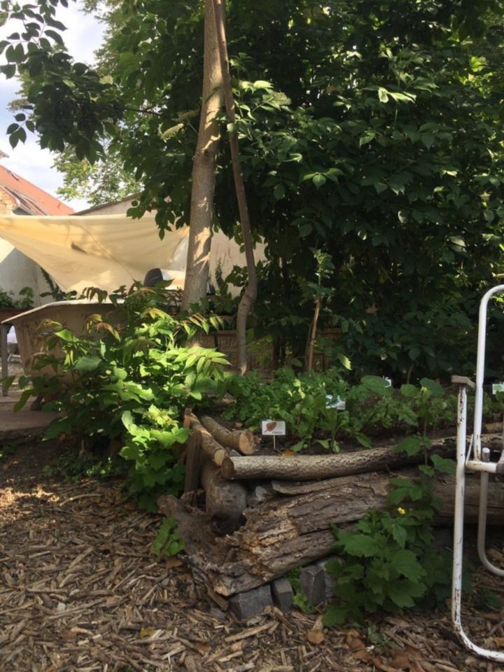 WG-Zimmer in der Efeu Villa