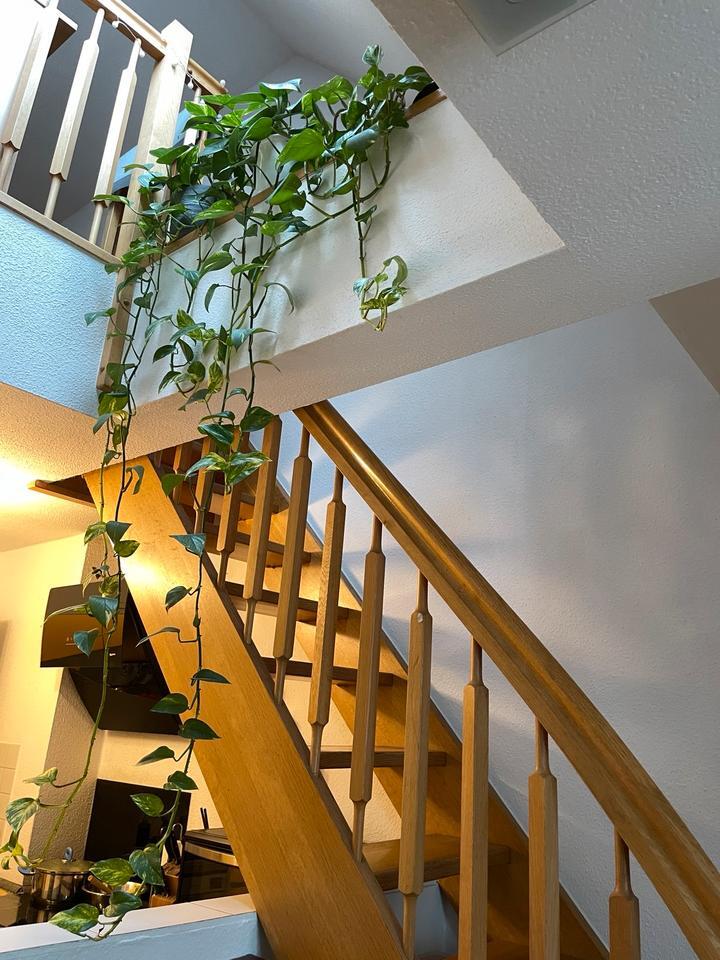 2-Zimmer-Maisonettewohnung in der Erfurter Innenstadt zimmer