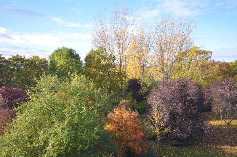 Etagenwohnung Riesa Neuweida - 2 Zimmer, 39 m&sup2;, 250&euro; | Angebot:26656318