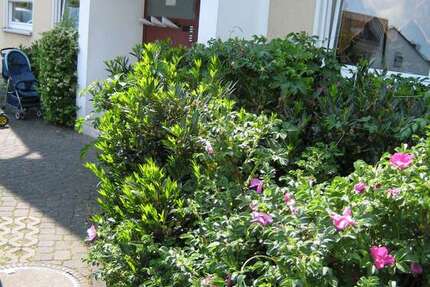 Wohnung Bergisch Gladbach Gronau - 3 Zimmer, 69 m&sup2;, 370&euro; | Angebot:26852126