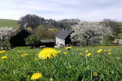 Wohnung Klingenberg - 1 Zimmer, 40 m&sup2;, 200&euro; | Angebot:25311292