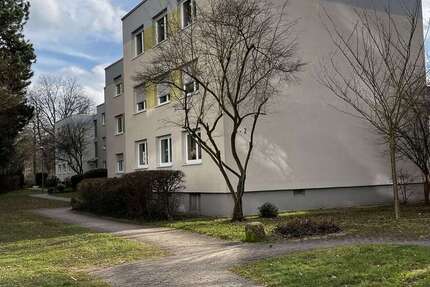 Wohnung zum Mieten in Kaiserslautern 1.065 € 84 m² 4 zimmer
