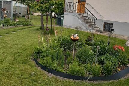 Wohnung Oberviechtach - 2 Zimmer, 65 m&sup2;, 500&euro; | Angebot:26624094