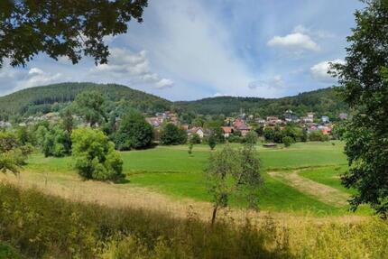 Wohnung Buchen (Odenwald) - 2.5 Zimmer, 50 m&sup2;, 475&euro; | Angebot:25272091