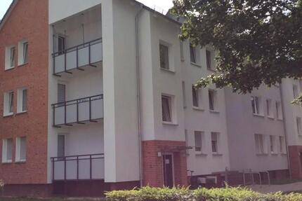 Wohnung Elmshorn - 1 Zimmer, 30 m&sup2;, 346&euro; | Angebot:24585653