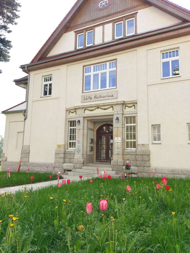 Wohnung zum Mieten in Falkenstein 150 €