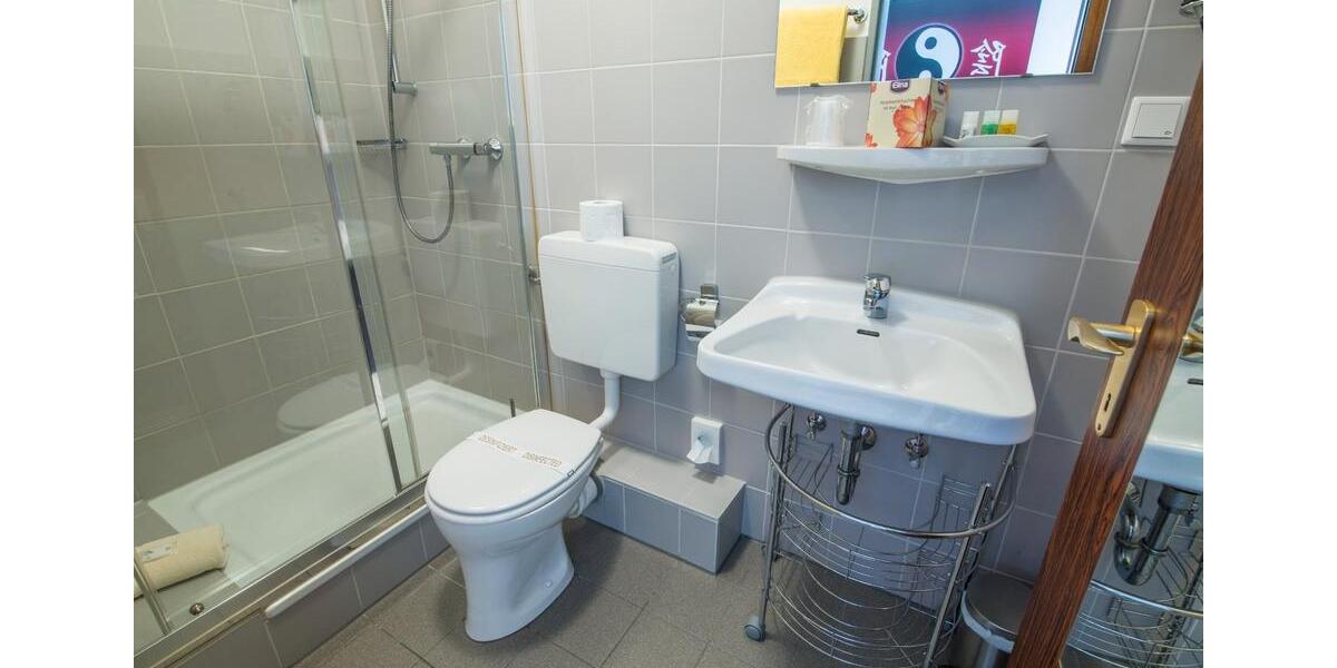 Wohnen auf Zeit Koblenz - 1 Zimmer, 30 m&sup2;, 1.130&euro; | Angebot:14044747