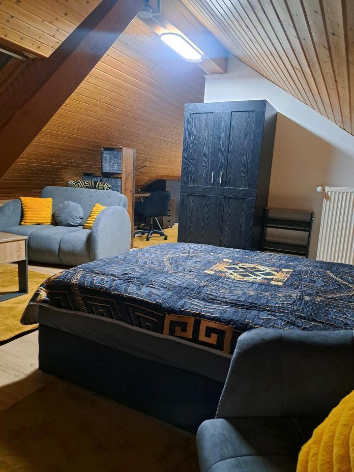 1 Zimmer-DG-Apartment, klimatisiert, neu renoviert, vollmöbliert,