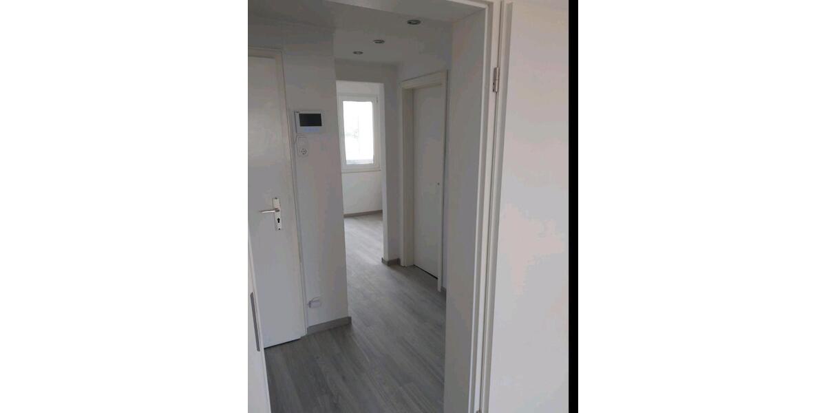 Wohnung zu vermieten 1 zimmer