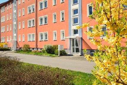 Wohnung zum Mieten in Riesa 290 € 46.39 m² 2 zimmer