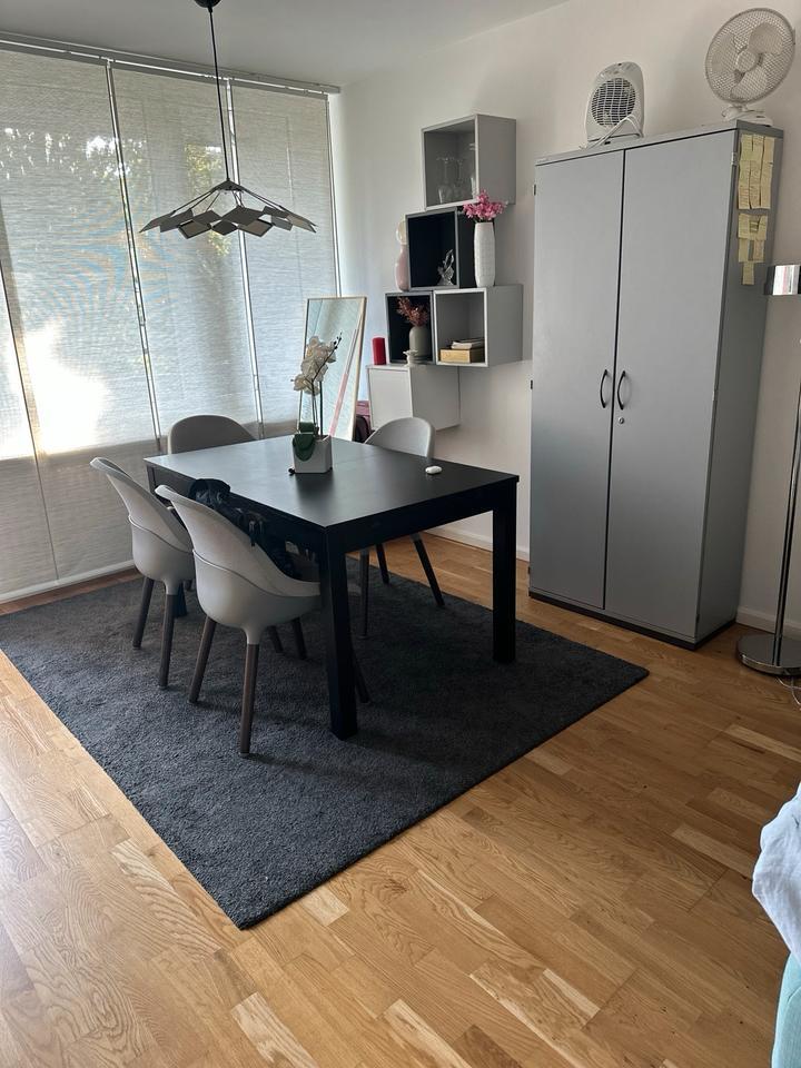 Sublet Studio Apartment- from December to January zimmer