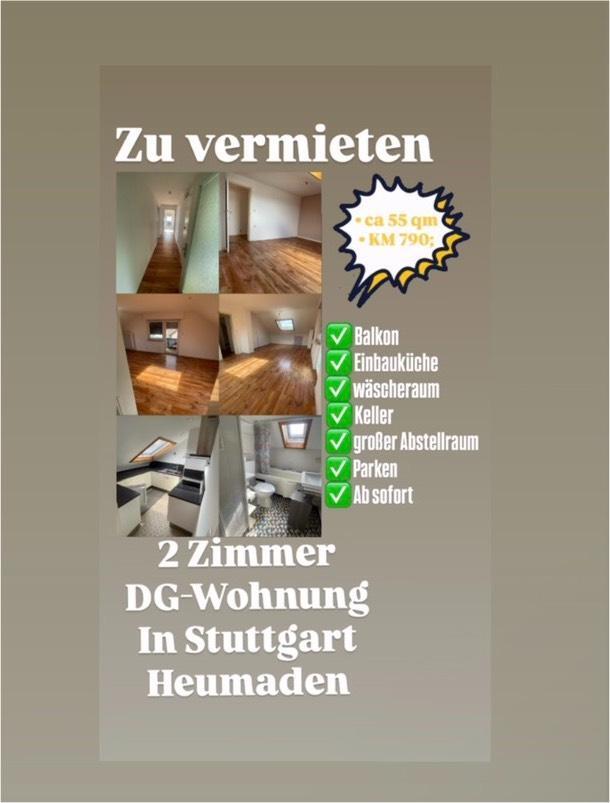 2 Zimmer DG Wohnung zimmer