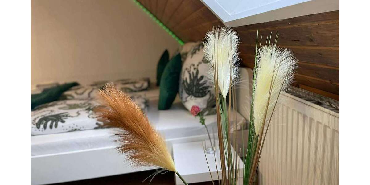 Wohnen auf Zeit in Rüsselsheim 1.780 € 1 zimmer