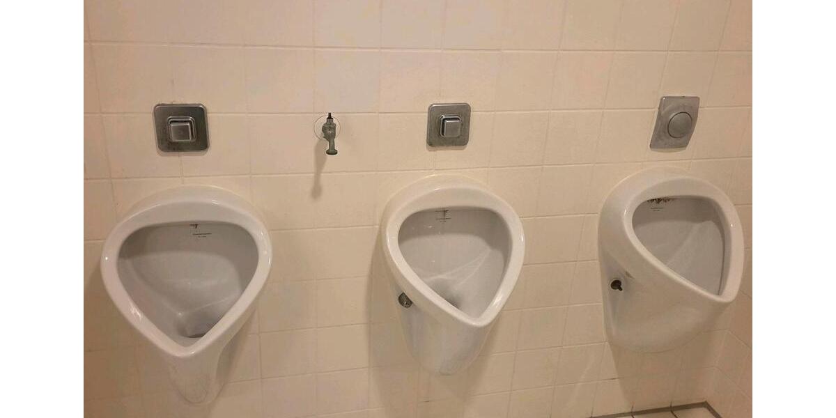 Einfamilienhaus Grünwald - 1 Zimmer, 150 m&sup2;, 850&euro; | Angebot:24660606