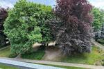 Dachgeschoßwohnung Melle - 4 Zimmer, 85 m&sup2;, 833&euro; | Angebot:26480937