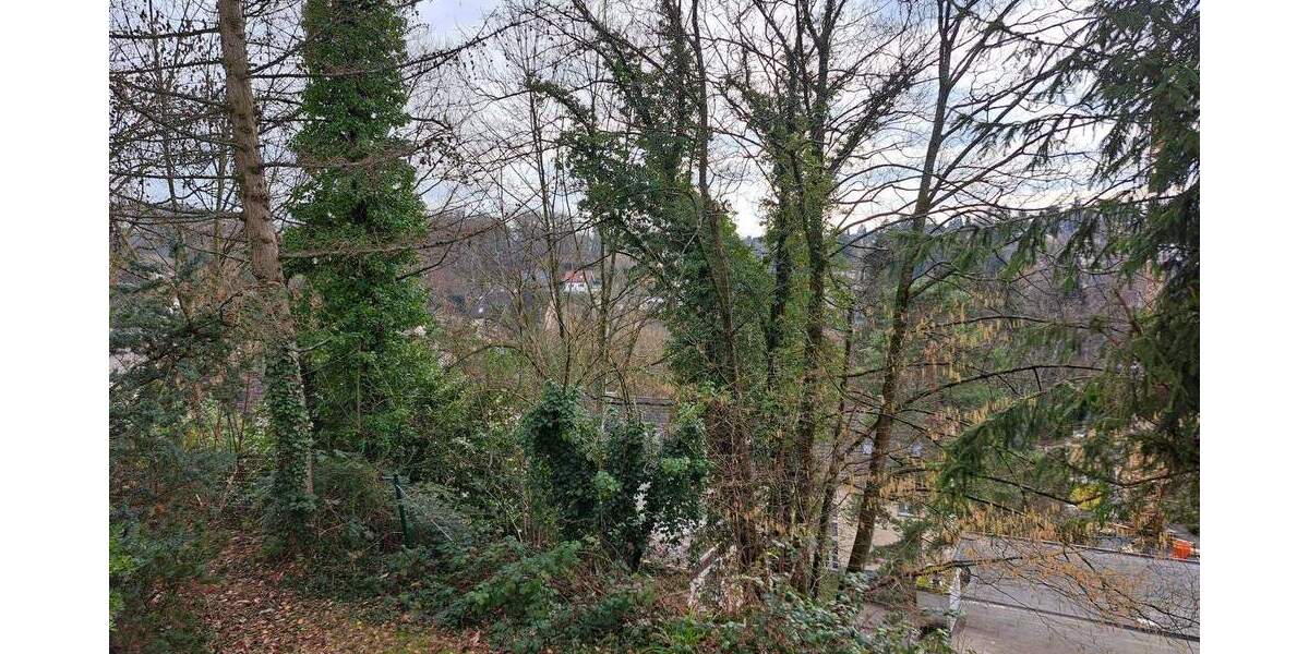 Etagenwohnung Bergisch Gladbach Gladbach - 3 Zimmer, 92 m&sup2;, 900&euro; | Angebot:25167251