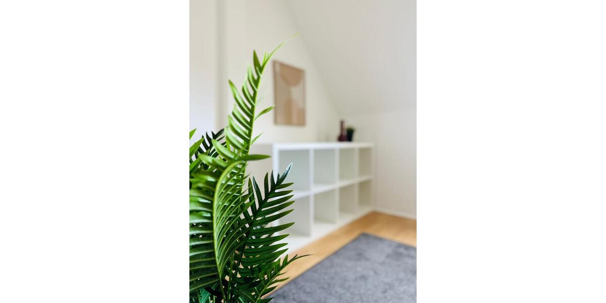 Wohnen auf Zeit Hagen Hagen-Nord - 25 Zimmer, 50 m&sup2;, 18&euro; | Angebot:24901261