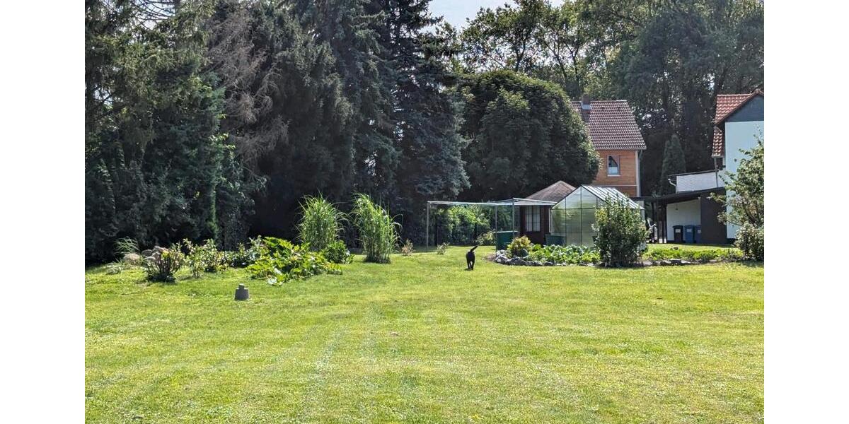 Ab dem 01.03.26 3 Zimmer Wohnung in Salzgitter Barum 3 zimmer