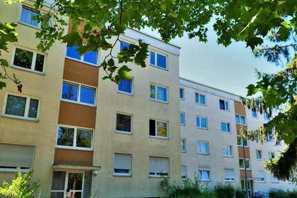 Wohnung Frankenthal (Pfalz) Frankenthal Kernstadt - 3 Zimmer, 71 m&sup2;, 739&euro; | Angebot:27184151