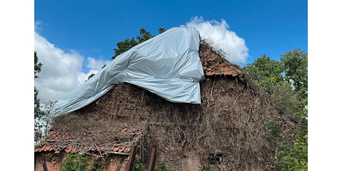 Gewerbeobjekt Edemissen - 5.000&euro; | Angebot:24743321