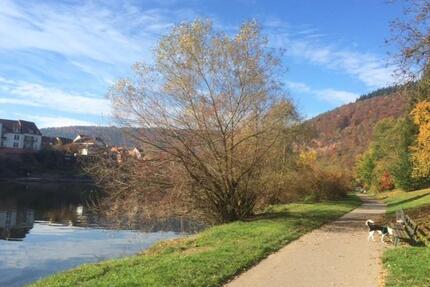2-Zi-Wohnung in Neckargemünd inkl. 15 m2 Balkon, EK, Stellplatz zimmer
