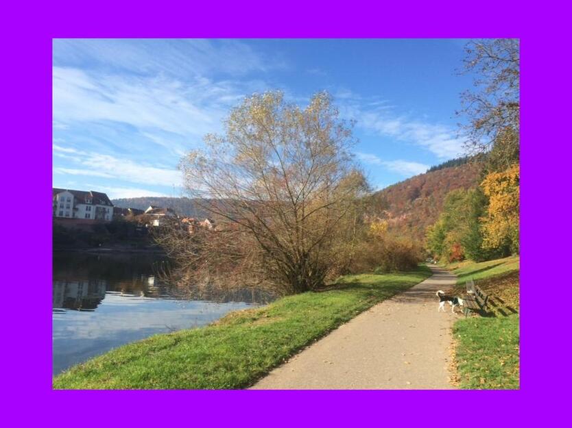 2-Zi-Wohnung in Neckargemünd inkl. 15 m2 Balkon, EK, Stellplatz zimmer