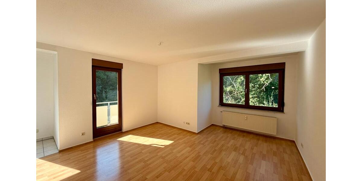 Erdgeschoßwohnung Weißenfels - 2 Zimmer, 50 m&sup2;, 350&euro; | Angebot:25364624
