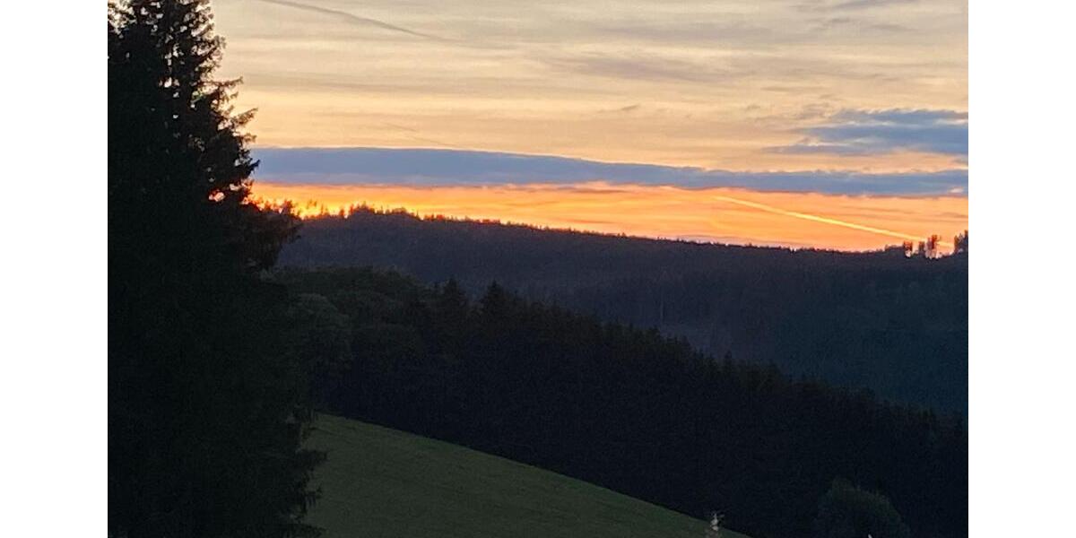 Terrassenwohnung Winterberg - 2 Zimmer, 72 m&sup2;, 800&euro; | Angebot:25396297