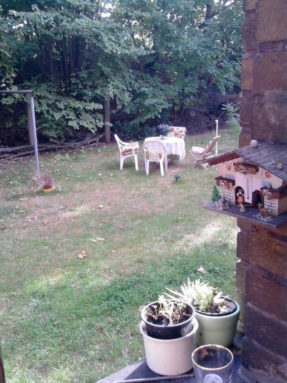 Erdgeschoßwohnung Potsdam - 1 Zimmer, 20 m&sup2;, 550&euro; | Angebot:24715883