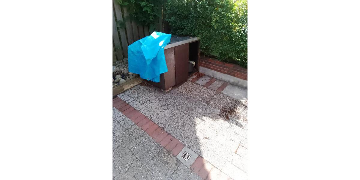 Erdgeschoßwohnung Edewecht - 1 Zimmer, 18 m&sup2;, 450&euro; | Angebot:24895801