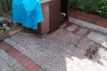 Wohnung Edewecht - 1 Zimmer, 18 m&sup2;, 450&euro; | Angebot:24895801