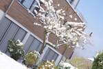 Etagenwohnung Bodman-Ludwigshafen Bodman - 3 Zimmer, 65 m&sup2;, 1.200&euro; | Angebot:26596745