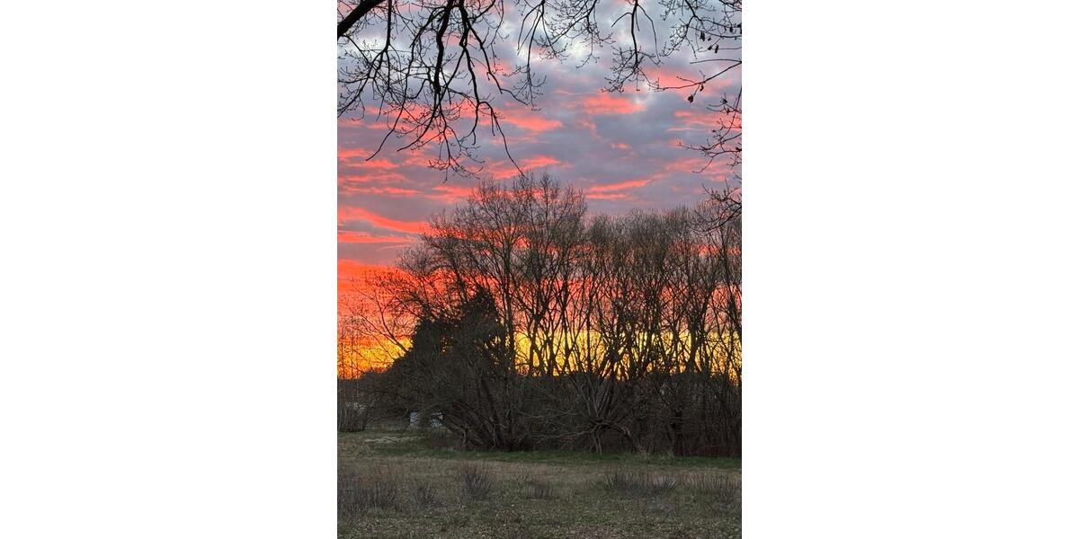 Einfamilienhaus Panketal - 1 Zimmer, 50 m&sup2;, 800&euro; | Angebot:24691202