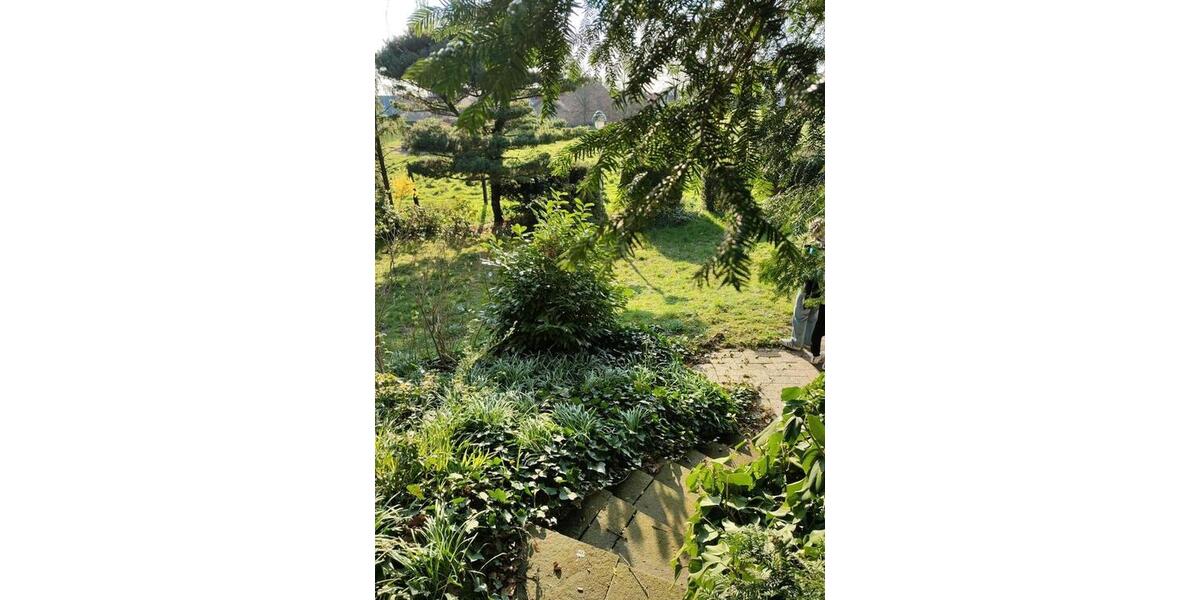 Einfamilienhaus Rees - 6 Zimmer, 200 m&sup2;, 1.500&euro; | Angebot:25045894